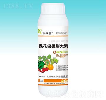 �������������-��ԣ��