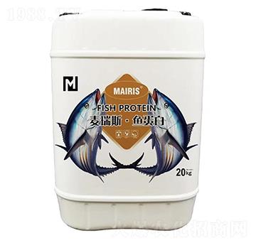 ����˹���~(y��)����-����˹