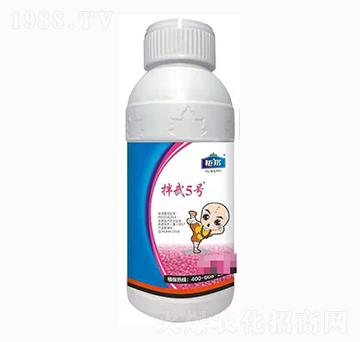 15%���x����������-����5̖-⠰��r(n��ng)�I(y��)