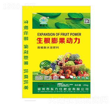 �����������-�|���t