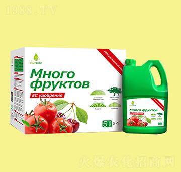 ������Һ�w��-��Ș�(l��)