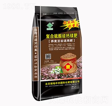 ��(f��)��������}�V��-�G��