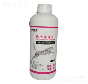 ��(y��u)�������a-��(y��u)����