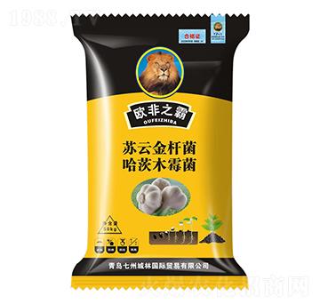 ������طN��-�W��֮��-���ݳ���