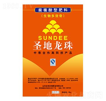 ��ֲ���ͷ���-ʥ������-ʥ��