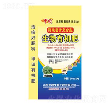 ���S���؏�(f��)���������ЙC��-����-�и�����