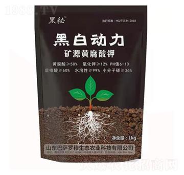 �VԴ�S�����-�ڰׄ���-���_�_��