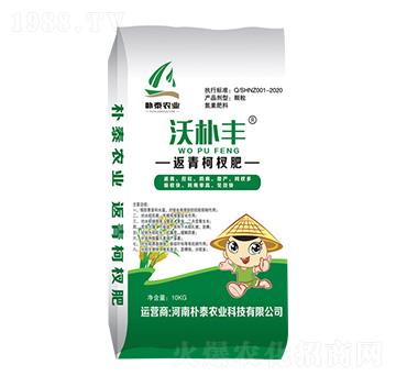 �����辷�-�֘��S-��̩