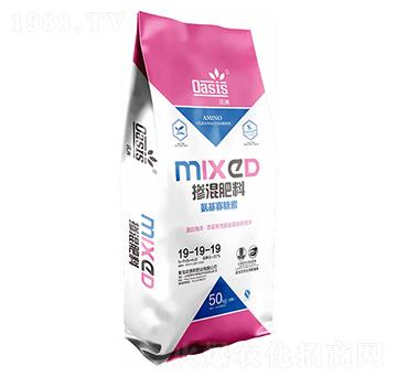 ���ް��������ؓ����19-19-19-�Wِ˹