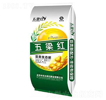 ���(l��i)���B(t��i)��-�����t