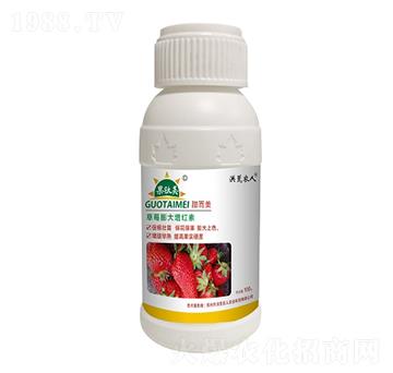 ��ݮ������t��-�����-����r��