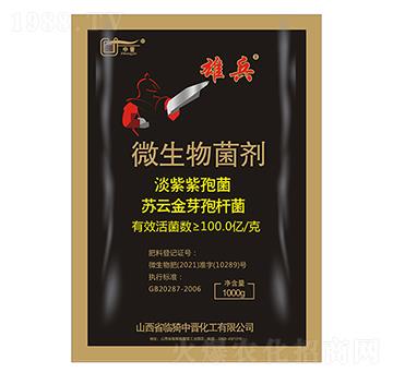 ΢�������-�۱�-�Еx