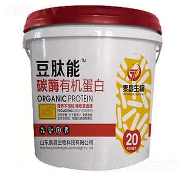 ̼ø�ЙC����-������-̩������