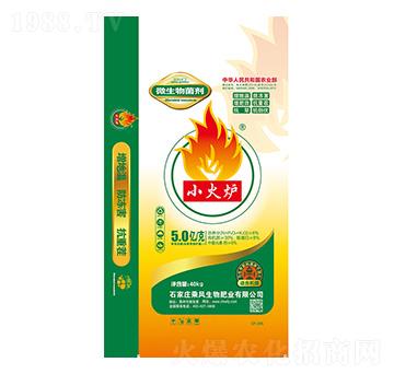 ΢�������-С��t-���L����