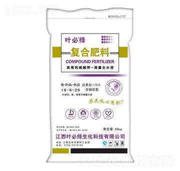 ����������⛏ͺϷ�16-6-29-�~�ؾG