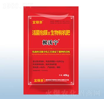 �����Ĥ�������ЙC(j��)��-���֌�-�˼��H-�ڰ�