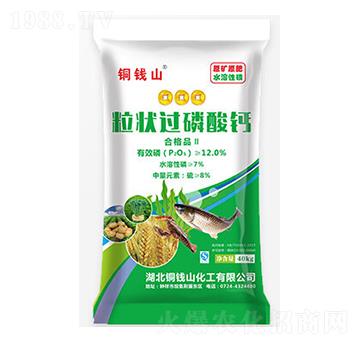 �����^(gu��)�����}-�~�Xɽ-���S����