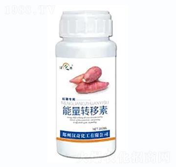 �t�������D(zhu��n)����-�h�滯