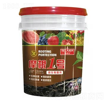 Ħ��1̖(h��o)΢�������-���R��