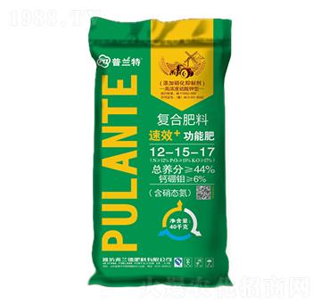 �ͺϷ���12-15-17-���m��-���m��