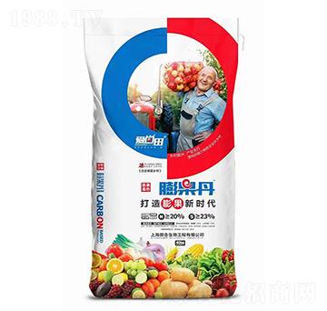 �����-������-�������