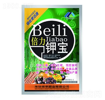 ����⛌�-����ʘI(y��)