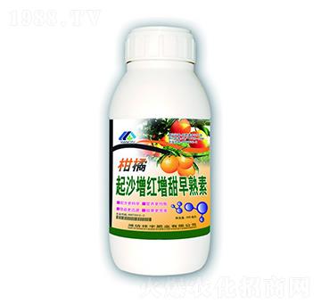 ����������-����ʘI(y��)