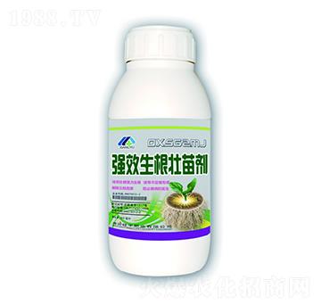 ��(qi��ng)���������焩-�����