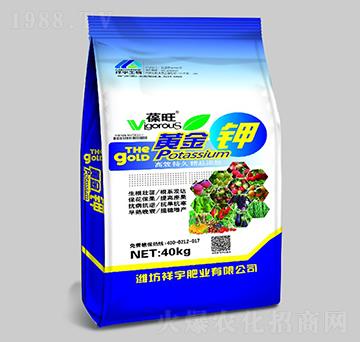 �����S���-����ʘI(y��)