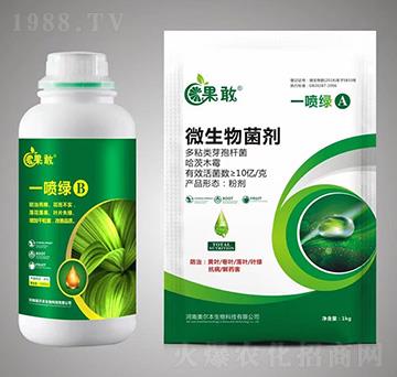 һ���GA+B-����-����������