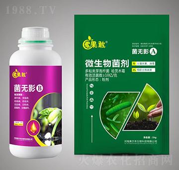 ���oӰA+B-����-����������