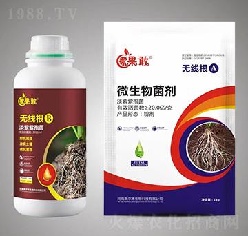 �o����A+B-����-����������