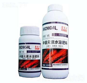 ����Ԫ��ˮ�ܷ���-��ܽ��ِ�¡��}-�����r(n��ng)�I(y��)