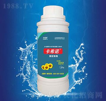 ������(zhu��n)��-��ϣ�Z