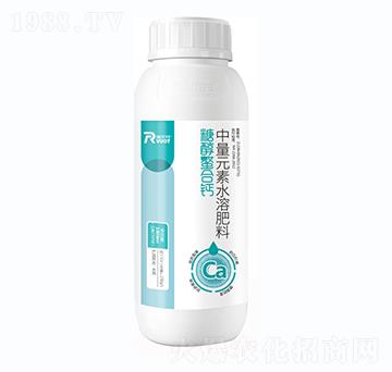 �Ǵ������}-����(y��u)��