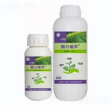 ֲ�����L�̼���-�D��ֲ��-�D�͵�