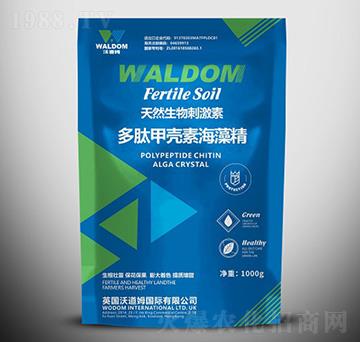 ���ļך��غ��徫-�ֵ�ķ