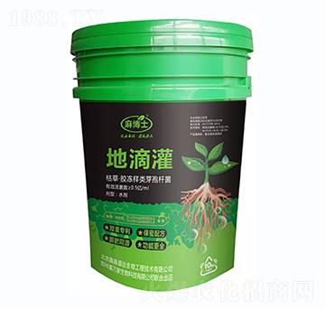 �صι�-�鲩ʿ-����ʢ�_(d��)