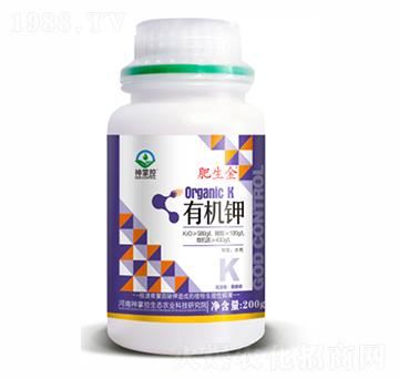 �ЙC�-������-���ƿ�