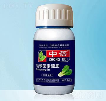 �~�ˌ��ü{�׾���Һ��-����-�����S