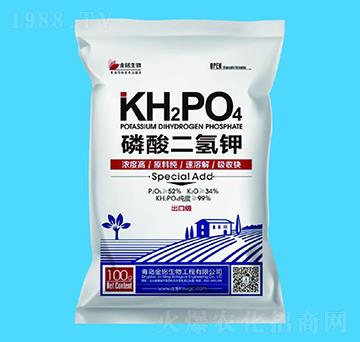 ���ڼ���������-�������