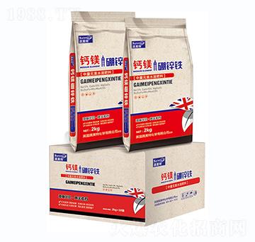 �}�V���\�F-������