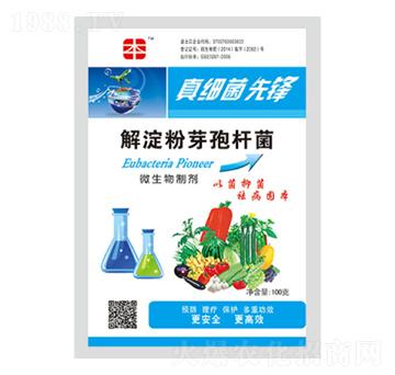 �����ѿ�ߗU��-�漚��