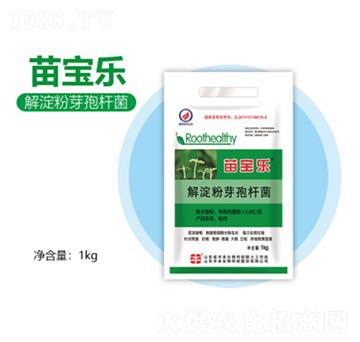 �����ѿ�ߗU��-�猚��