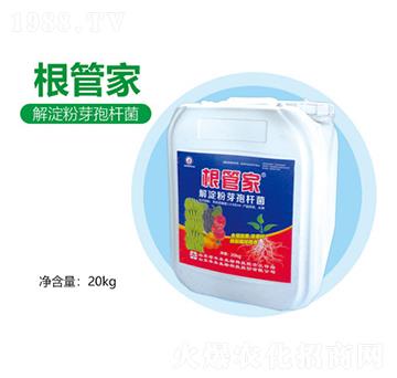 �����ѿ�ߗU��-���ܼ�