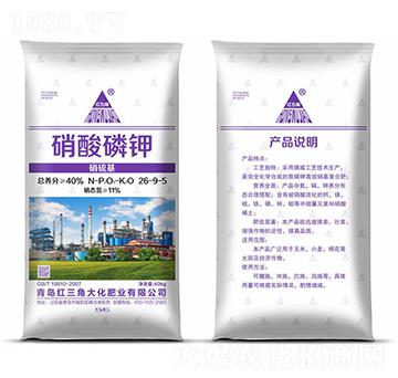 �������26-9-5-�t���Ǵ�