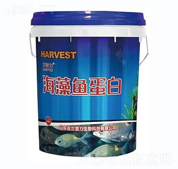 �����~����-�m����