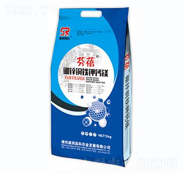 ���\�~�F��}�V-����-ʢ��(r��n)�߿�