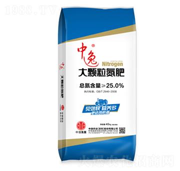 ���w������-�����r�I(y��)