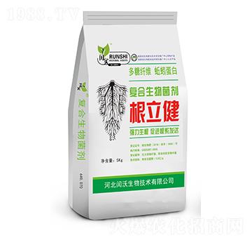 �ͺ��������-������-�c������